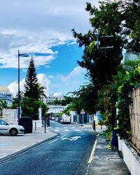 Empty road along trees in city