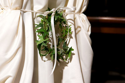 Close-up of leaves on white curtain at home