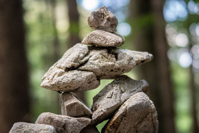 Close-up of stone stack on rock in forest