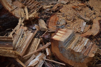 Stack of logs