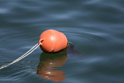 High angle view of orange buoy floating on water