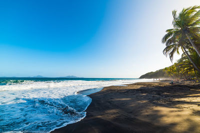 Scenic view of beach against clear blue sky