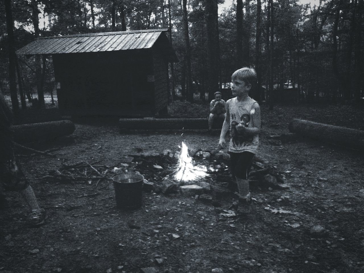 full length, childhood, lifestyles, tree, casual clothing, leisure activity, elementary age, person, boys, girls, day, park - man made space, standing, sitting, outdoors, innocence, built structure