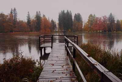 Brdo park in autumn . slovenia