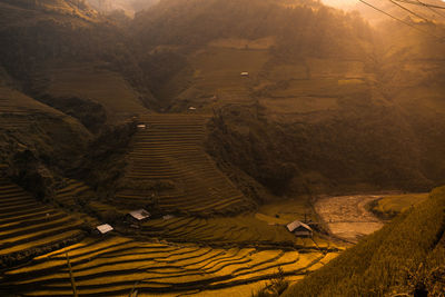 High angle view of agricultural field