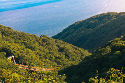 High angle view of trees by sea against sky