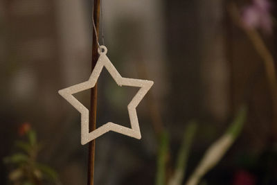 Close-up of sign hanging on christmas tree