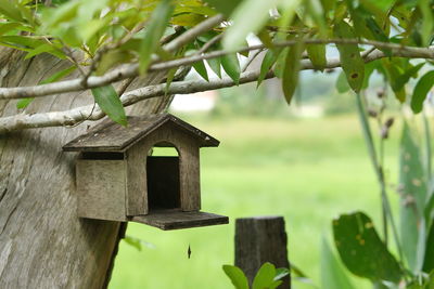 Close-up of birdhouse on tree