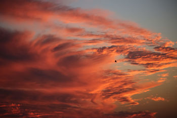 LOW ANGLE VIEW OF ORANGE CLOUDS IN SKY DURING SUNSET