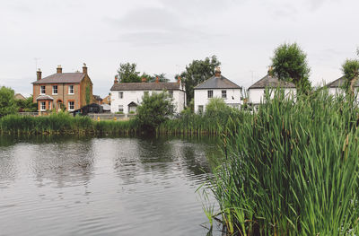 Grass growing in lake against sky