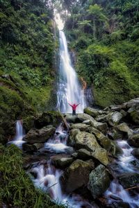 Scenic view of waterfall in forest