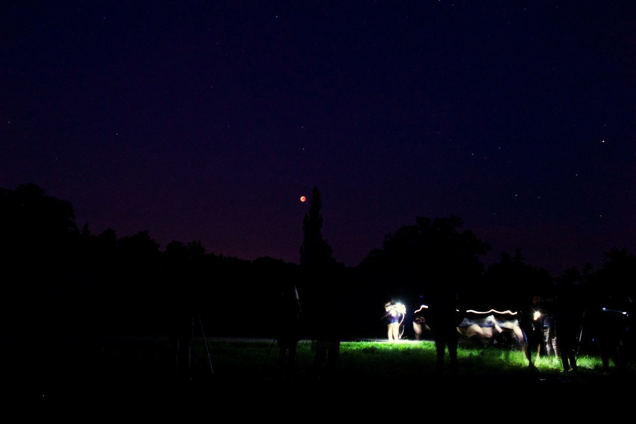 SILHOUETTE PEOPLE STANDING ON FIELD AT NIGHT