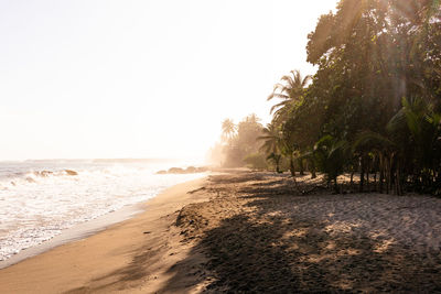 Scenic view of beach against clear sky