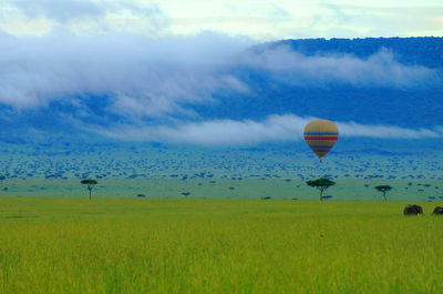 Hot air balloon flying over field