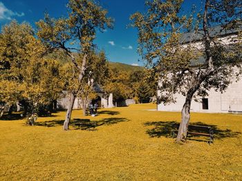 Monastery of beer in montenegro.