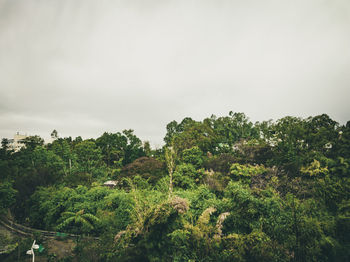 Scenic view of trees against sky