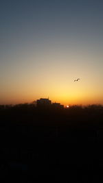Silhouette of trees at sunset