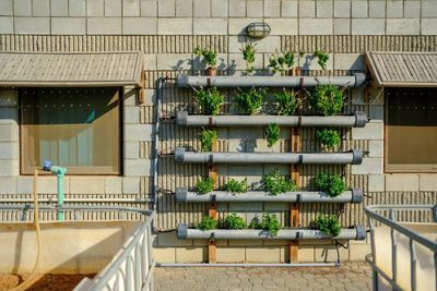 Potted plants in balcony against building