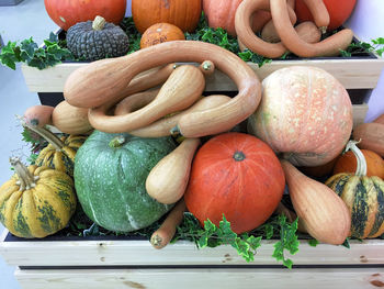 High angle view of pumpkins in market