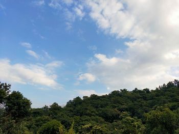 Low angle view of trees against sky