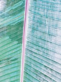 Full frame shot of green leaf