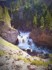 Scenic view of waterfall in forest