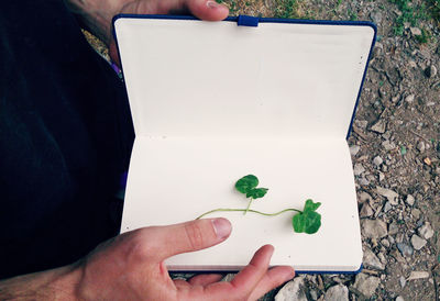 Midsection of man holding leaf in container