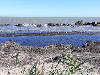 Scenic view of sea against clear sky
