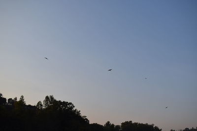 Low angle view of silhouette birds flying in sky