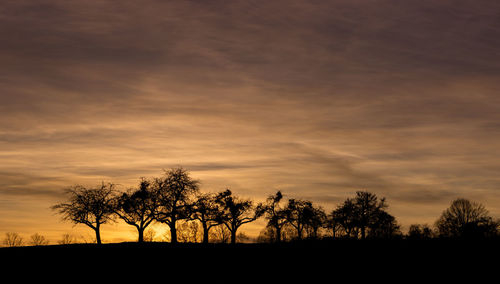 Silhouette trees on field against sky at sunset