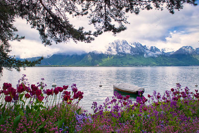 Scenic view of lake and mountains against sky