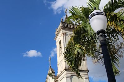 Low angle view of palm trees and building against sky