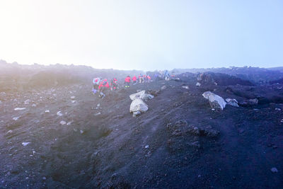 Dog on landscape against clear sky
