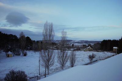 Trees on snow covered field against sky