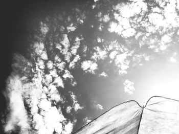 Low angle view of trees against sky