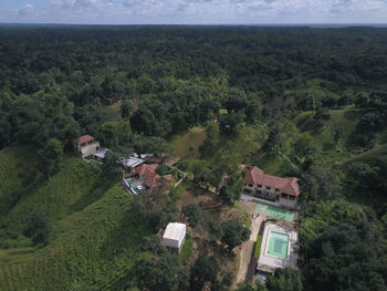 High angle view of trees and buildings