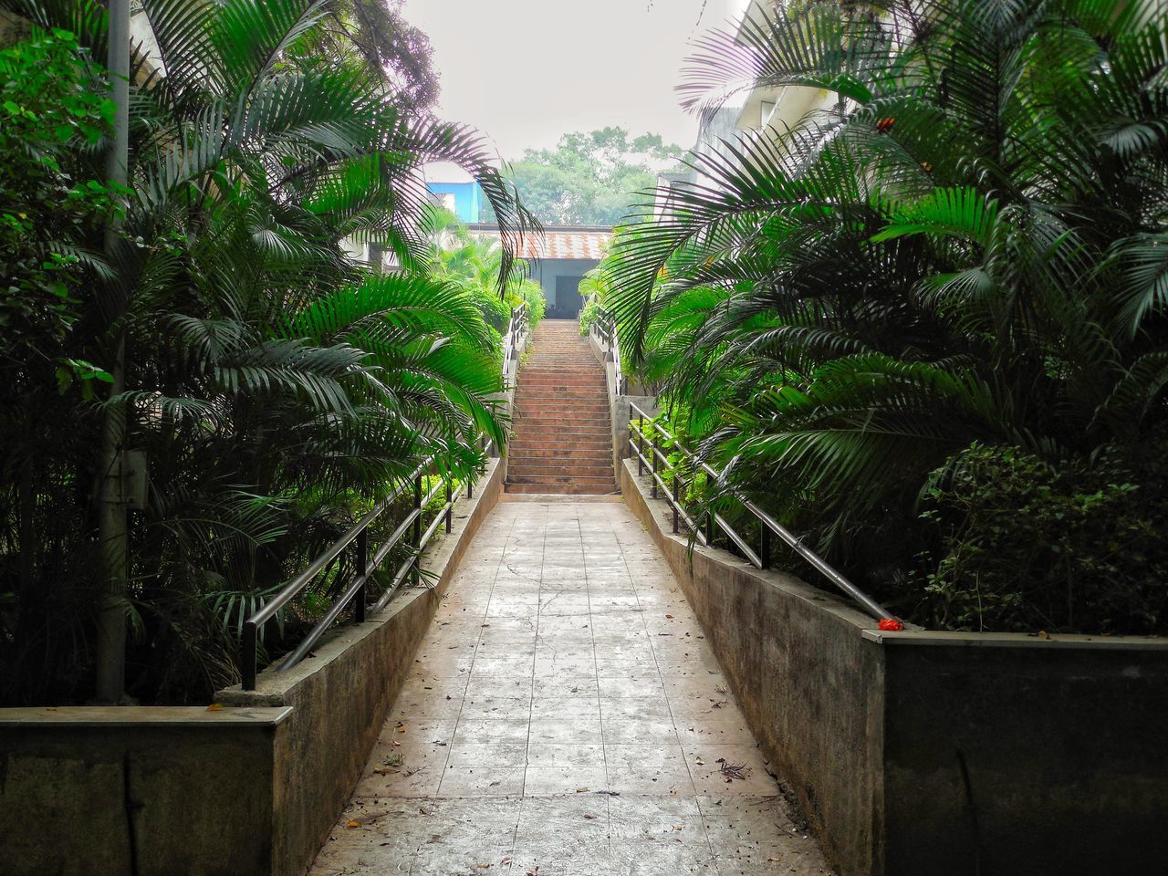 FOOTPATH IN PARK