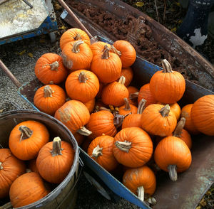 High angle view of pumpkins in market