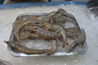 High angle view of fish for sale in market