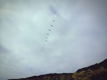 Low angle view of bird flying in sky