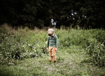 Little adorable boy with head bowed standing in the meadow
