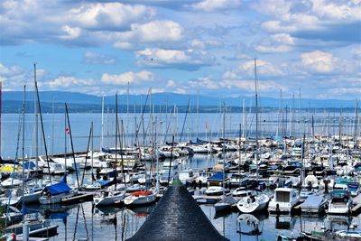 Sailboats moored at harbor