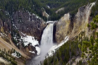 Scenic view of waterfall in forest