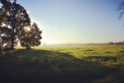 Scenic view of field against clear sky