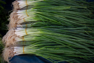 Full frame shot of vegetables