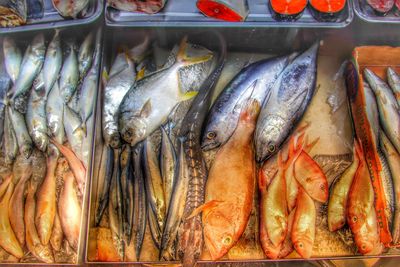 High angle view of fish for sale in market