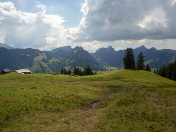 Scenic view of field against sky