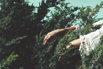 Midsection of woman on tree in forest