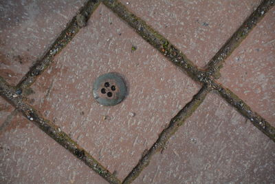 High angle view of button on footpath