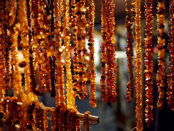 Close-up of garlands hanging at market during night